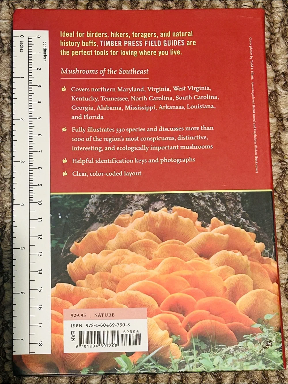 Mushrooms of the Southeast ( A Timber Press Field Guide) - Picture 2 of 3